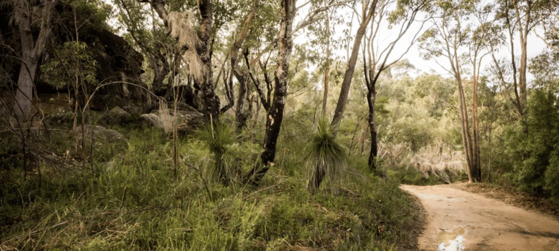 Screenshot 2025-05-03 at 12.19.13 PM Duffys FOrest Suburb